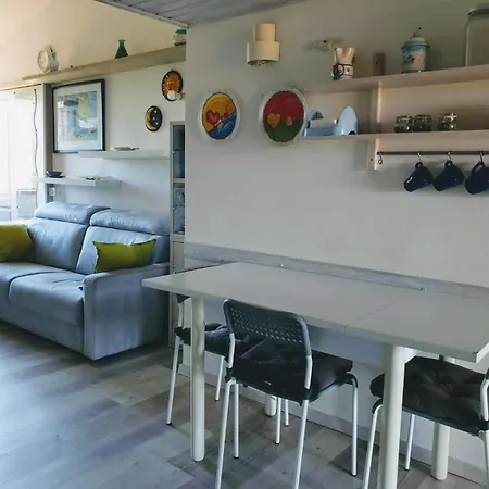 Stella Di Coda Cavallo 카파코다카발로