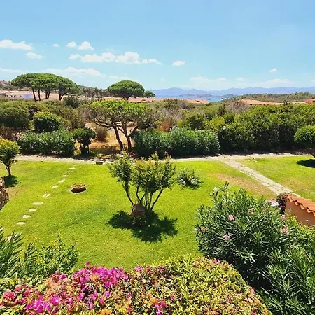 Stella Di Coda Cavallo