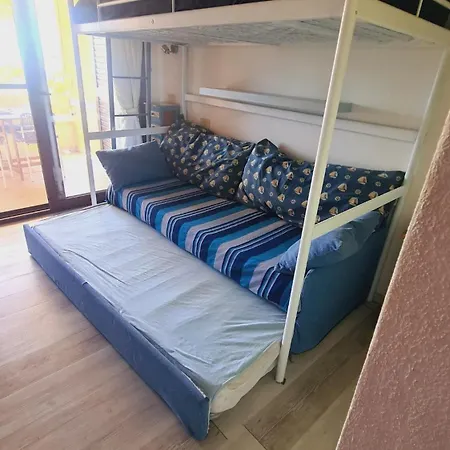 Stella Di Coda Cavallo