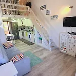 Stella Di Coda Cavallo Capo Coda Cavallo