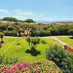 Stella Di Coda Cavallo