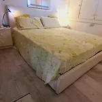 Stella Di Coda Cavallo *